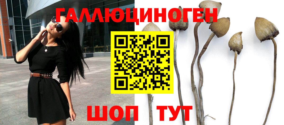 Псилоцибиновые грибы ЛСД Красный Сулин